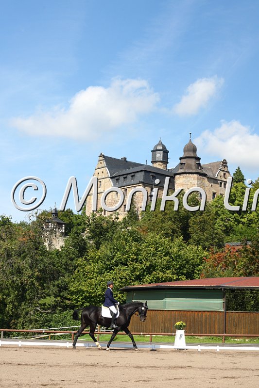 009M2447_Picasso_Dressur E.JPG